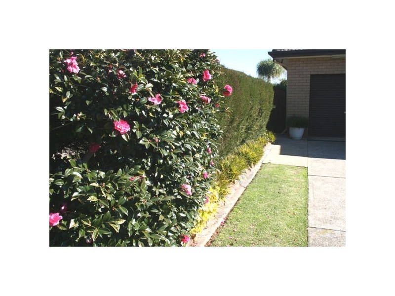 32 Cruikshank Ave, Elderslie NSW 2570