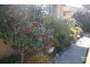 32 Cruikshank Ave, Elderslie NSW 2570