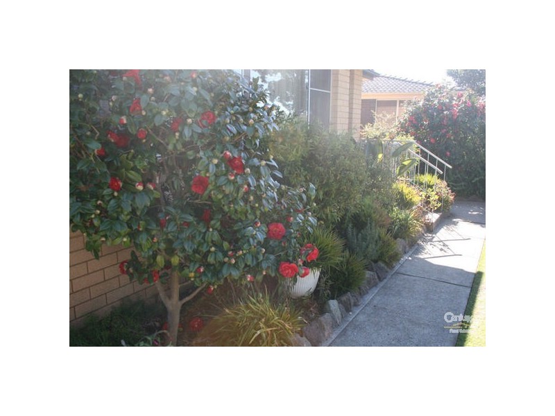 32 Cruikshank Ave, Elderslie NSW 2570