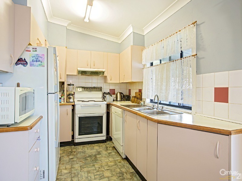 64 Anderson Avenue, Mount Pritchard NSW 2170