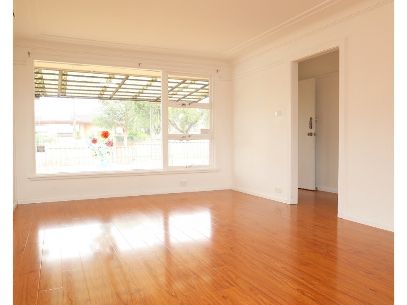 168 Townview Road, Mount Pritchard NSW 2170