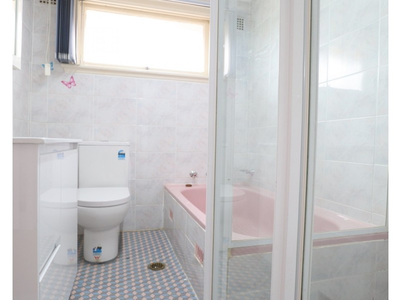 168 Townview Road, Mount Pritchard NSW 2170