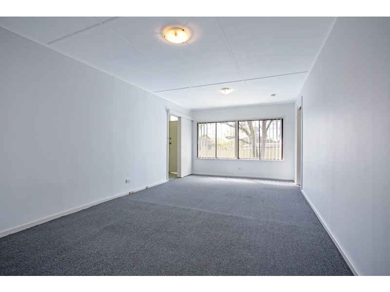 4 Amadio Place, Mount Pritchard NSW 2170