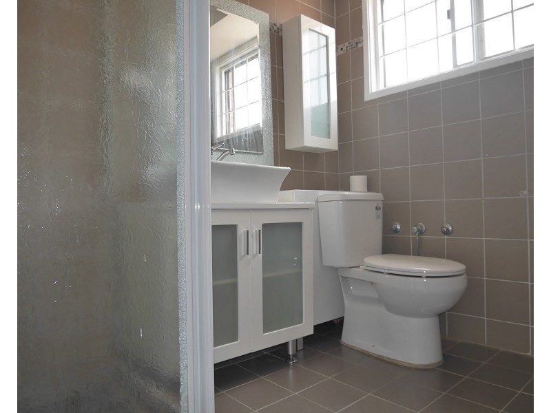 17 Broadmeadows Street, St Johns Park NSW 2176