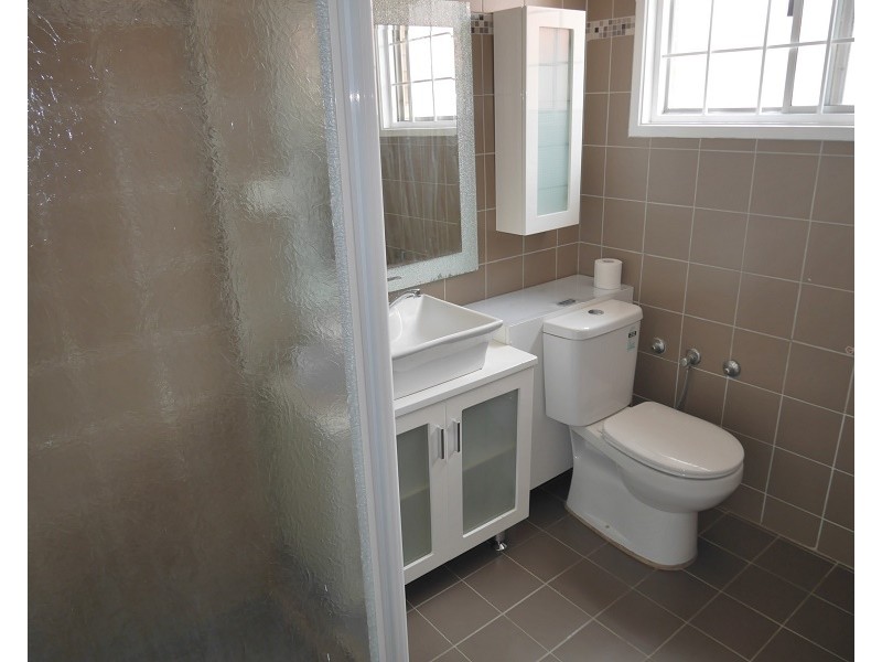 17 Broadmeadows Street, St Johns Park NSW 2176