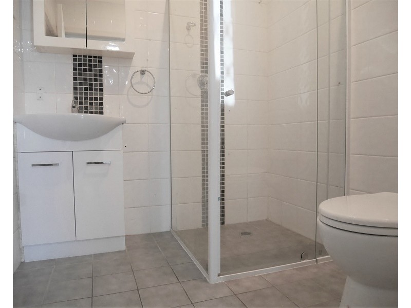 161 The Horsley Drive, Fairfield East NSW 2165