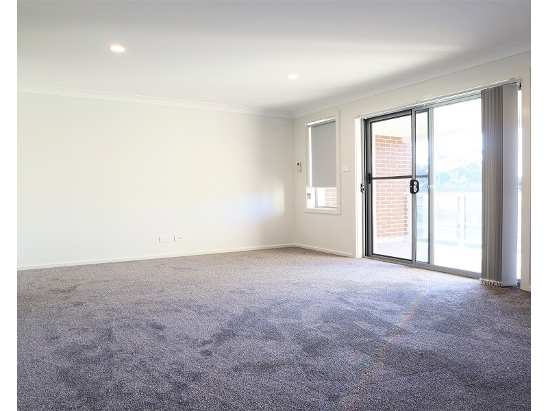 38 Tenella Street, Canley Heights NSW 2166