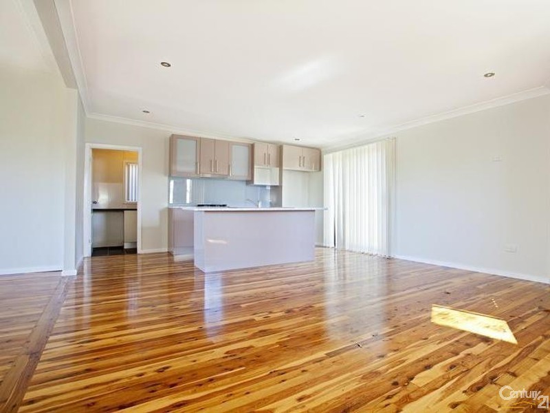 65 Anderson Avenue, Mount Pritchard NSW 2170