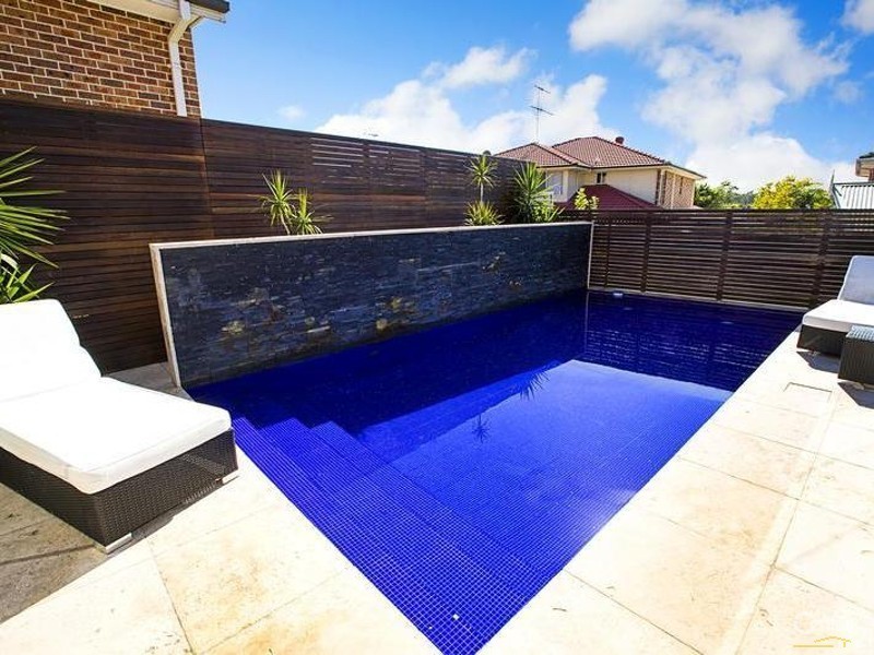 20 Snowden Close, Cecil Hills NSW 2171