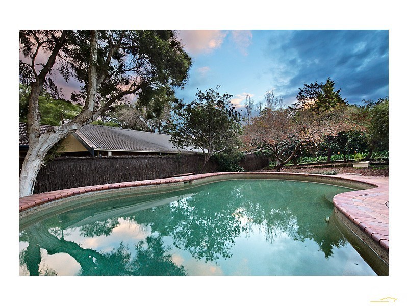 38 Boronia Ave, Cheltenham NSW 2119