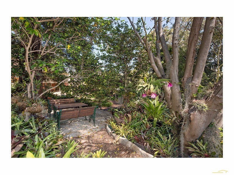 10 York St, Beecroft NSW 2119