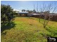 20 Shenton Avenue, Bankstown NSW 2200