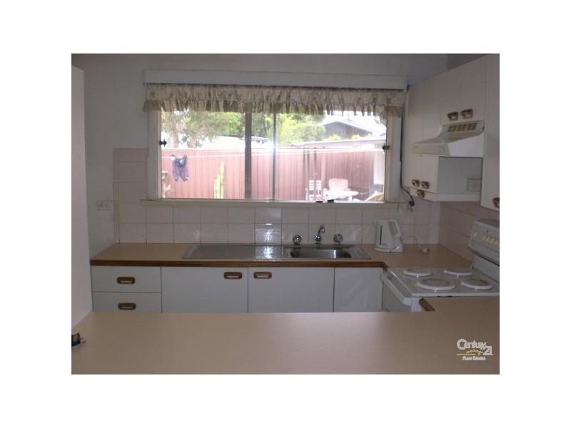 41 Archibald Street, Padstow NSW 2211