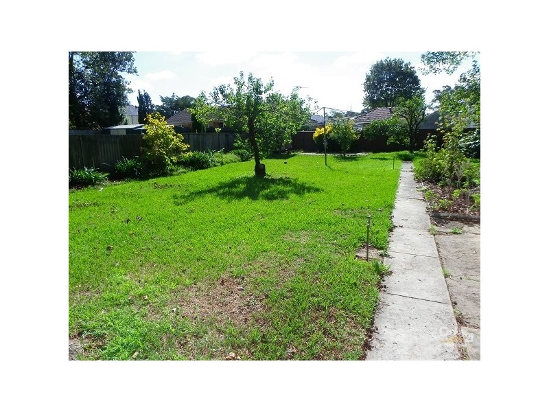 50 Iluka Street, Revesby NSW 2212
