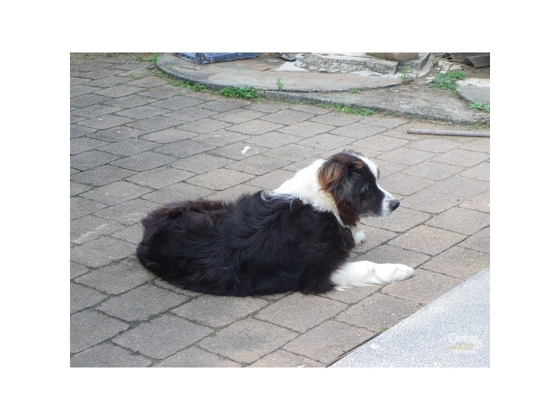 1/70 Dernancourt Parade, Milperra NSW 2214