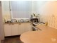 1 McPherson Street, Revesby NSW 2212