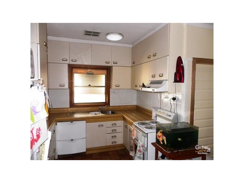 17 Polo Street, Revesby NSW 2212