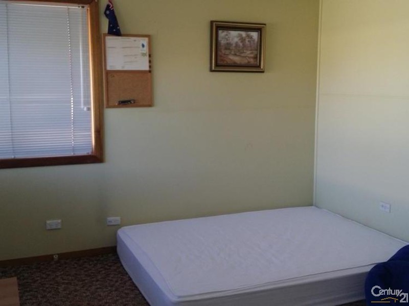 41 Sphinx Avenue, Revesby NSW 2212