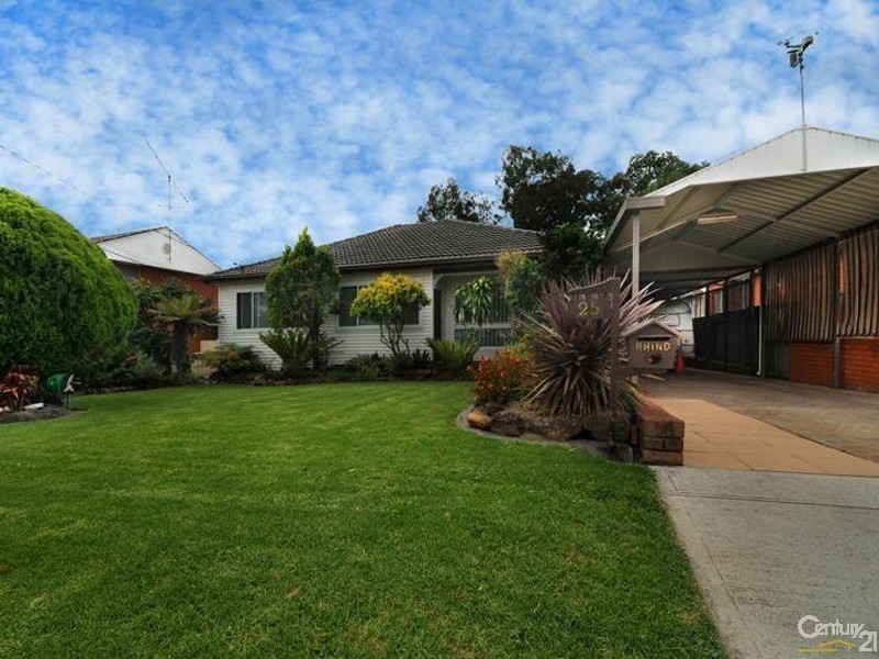 25  Alliance Avenue, Revesby NSW 2212