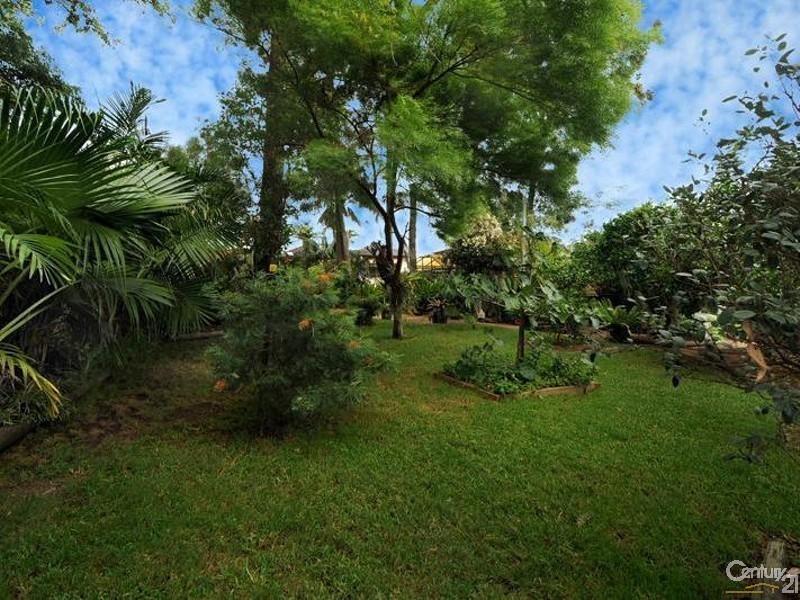 25  Alliance Avenue, Revesby NSW 2212