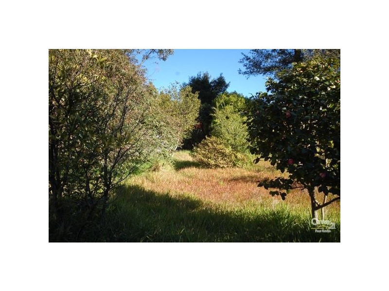 5 Eddy Street, Thornleigh NSW 2120