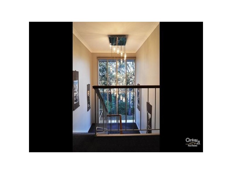 31 Jordan Rd, Wahroonga NSW 2076