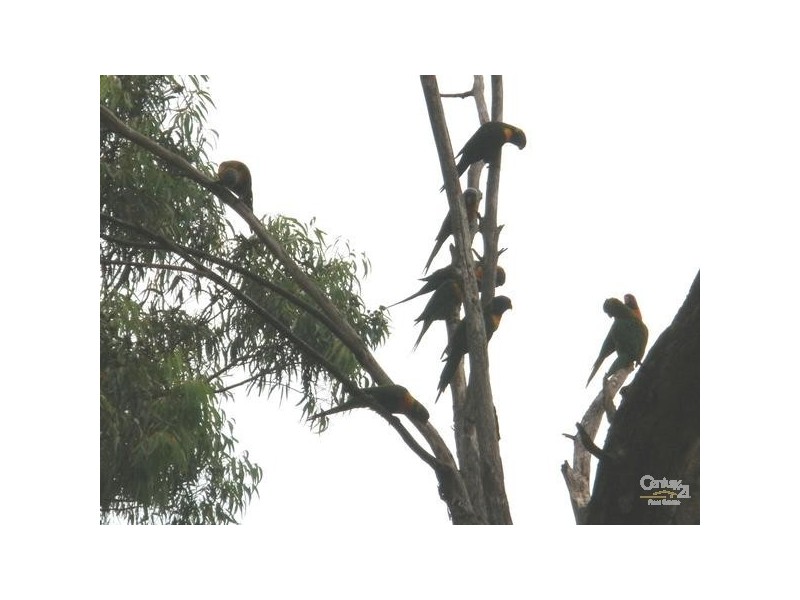 31 Jordan Rd, Wahroonga NSW 2076