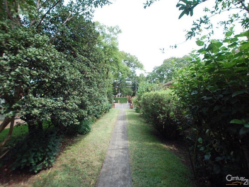 1A Rowley Street, Burwood NSW 2134