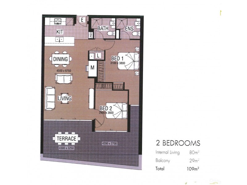 101/8 Avondale way, Eastwood NSW 2122 Floorplan