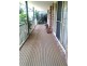 41A Dareen Street, Beacon Hill NSW 2100