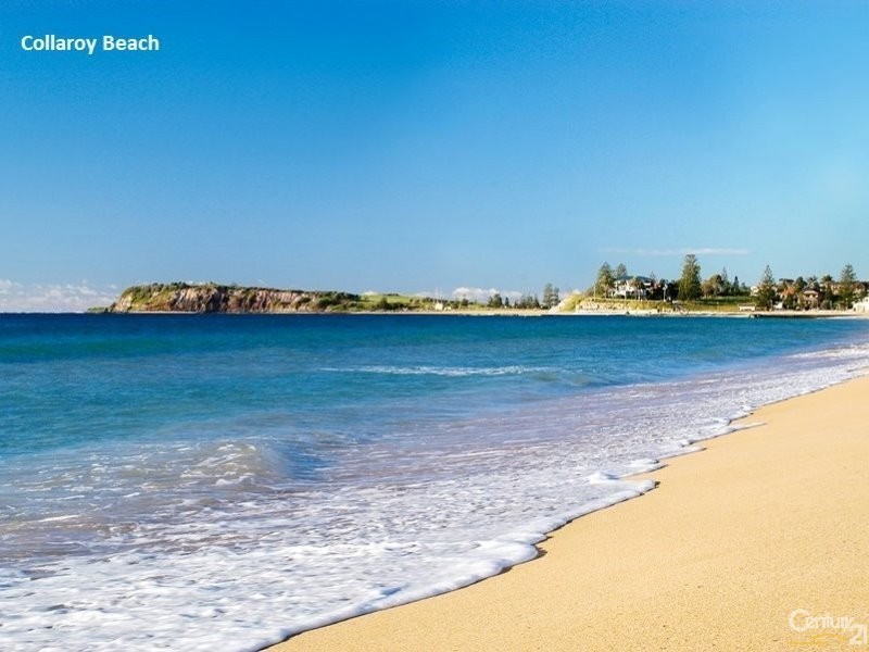121 Claudare Street, Collaroy Plateau NSW 2097