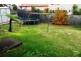 11 Earl Street, Beacon Hill NSW 2100