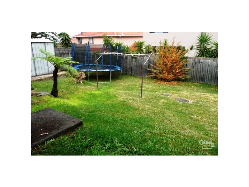 11 Earl Street, Beacon Hill NSW 2100