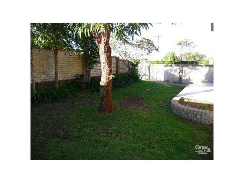 11 Earl Street, Beacon Hill NSW 2100