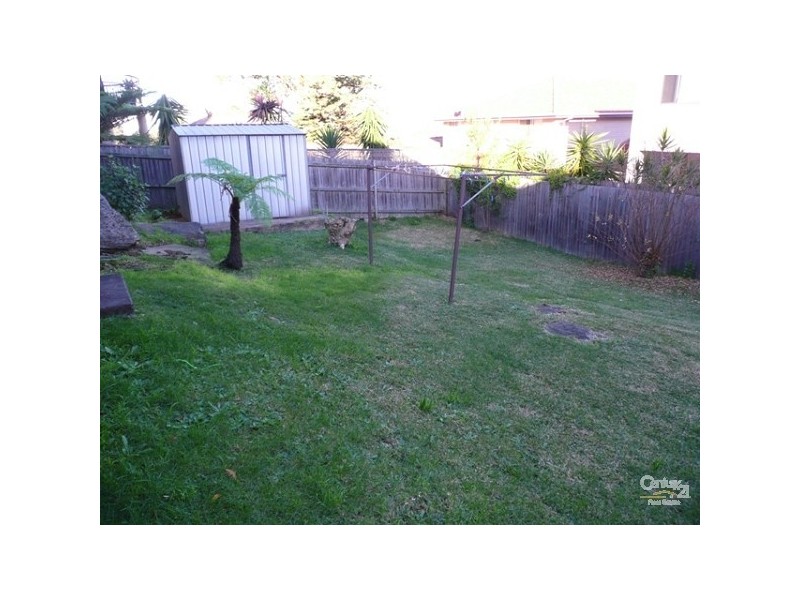 11 Earl Street, Beacon Hill NSW 2100