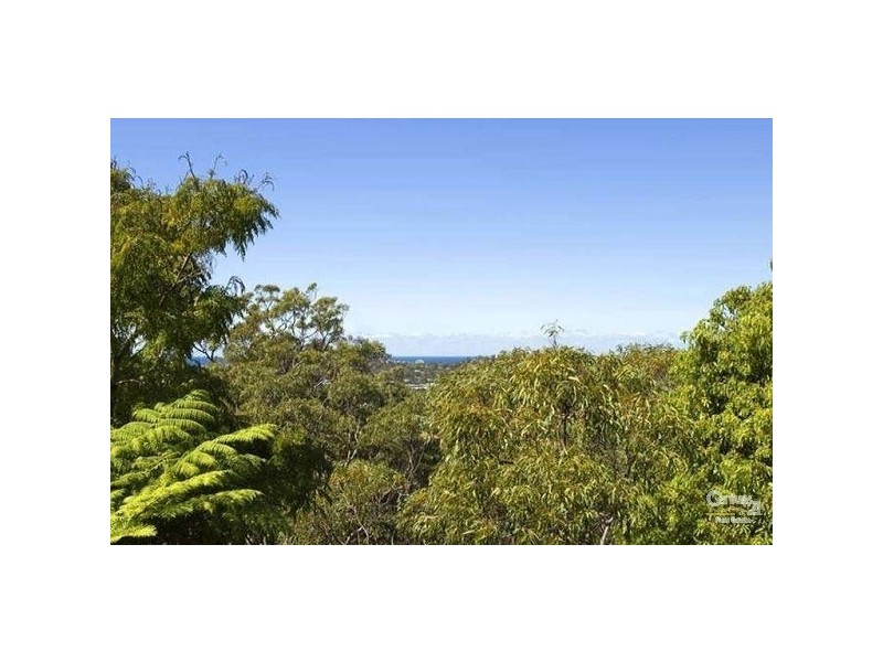 13 Marshall Crescent, Beacon Hill NSW 2100