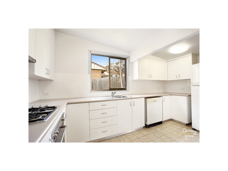 50 Warraba Road, North Narrabeen NSW 2101