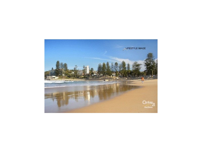 3/114 Pacific Parade, Dee Why NSW 2099