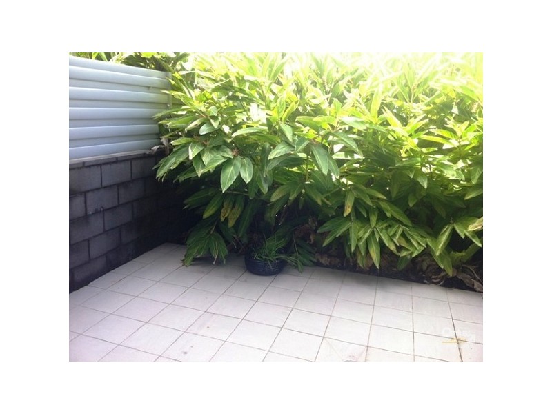 10/331 Miller Street, Cammeray NSW 2062