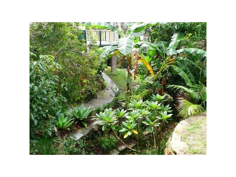 6 Nioka Road, Narrabeen NSW 2101