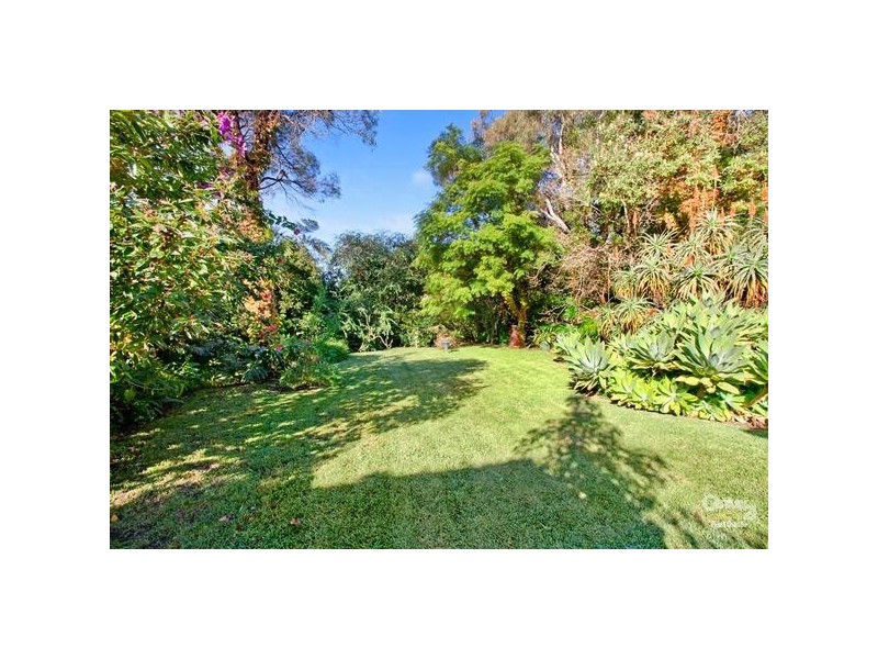 105 Oliver Street, Freshwater NSW 2096