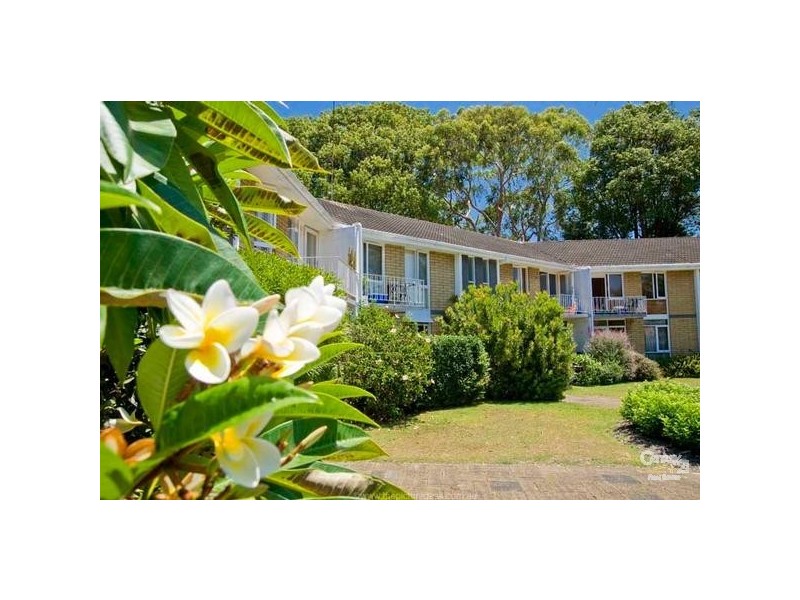 13/120 Fisher Road, Dee Why NSW 2099