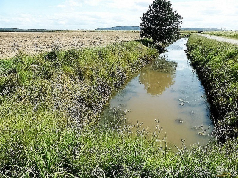 139 Carneys Lane, East Wardell NSW 2477