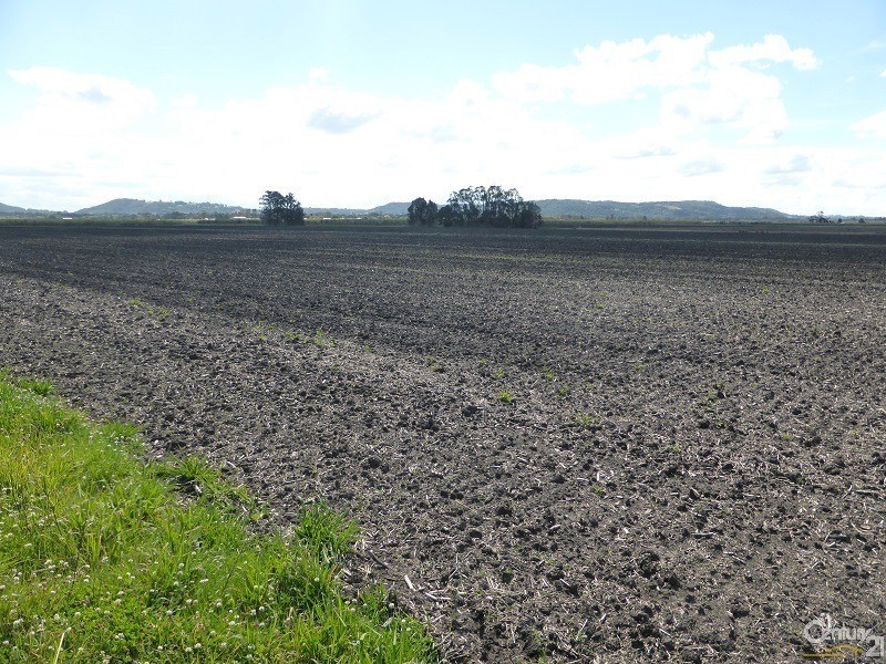 139 Carneys Lane, East Wardell NSW 2477