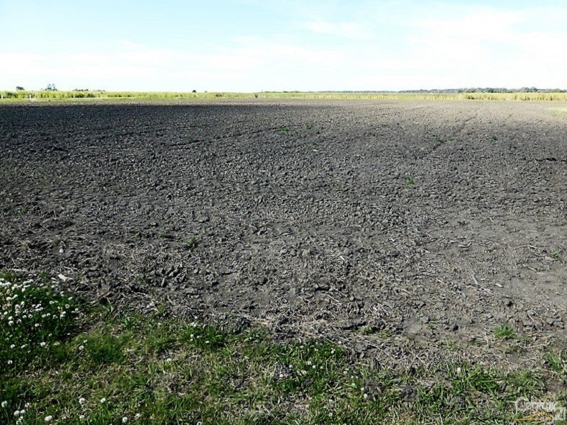 139 Carneys Lane, East Wardell NSW 2477