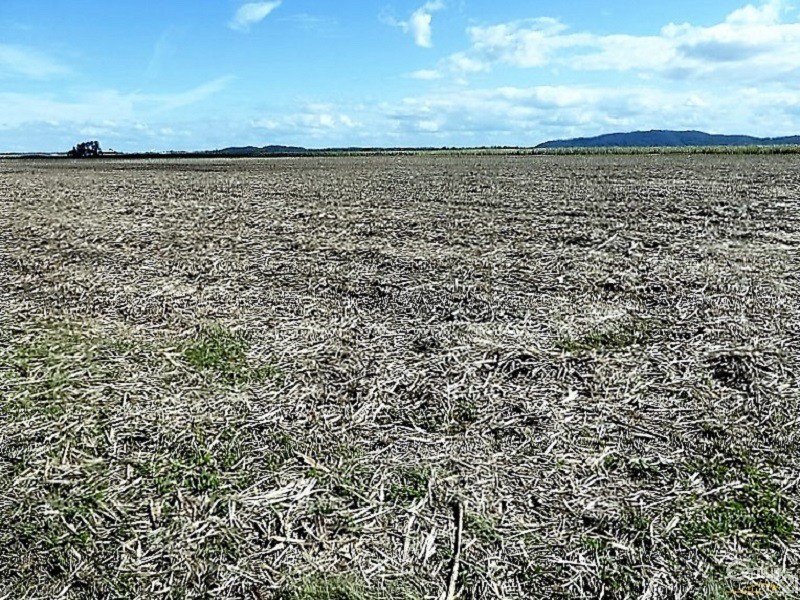 139 Carneys Lane, East Wardell NSW 2477