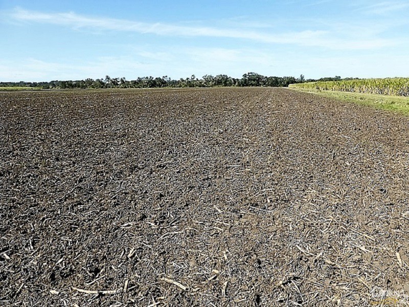 139 Carneys Lane, East Wardell NSW 2477