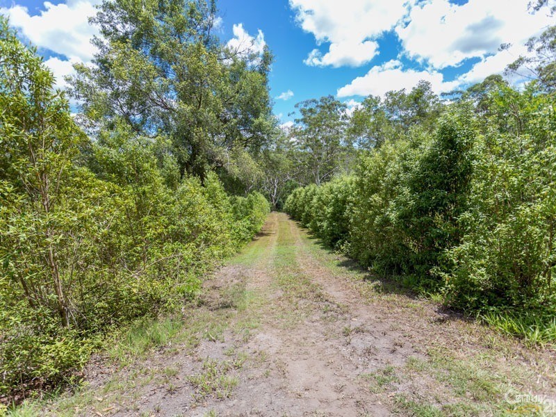 933 Wardell Road, Meerschaum Vale NSW 2477