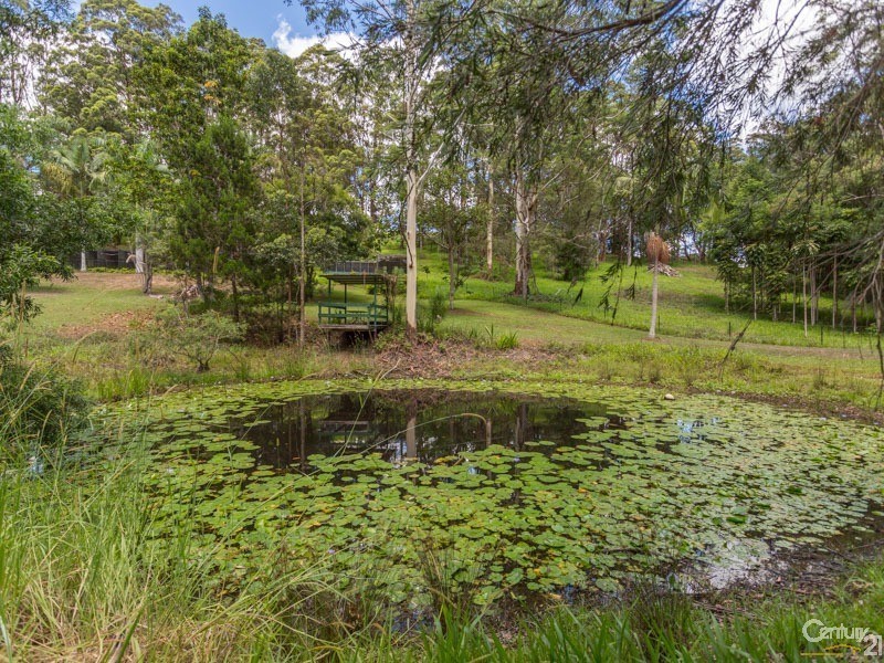 933 Wardell Road, Meerschaum Vale NSW 2477