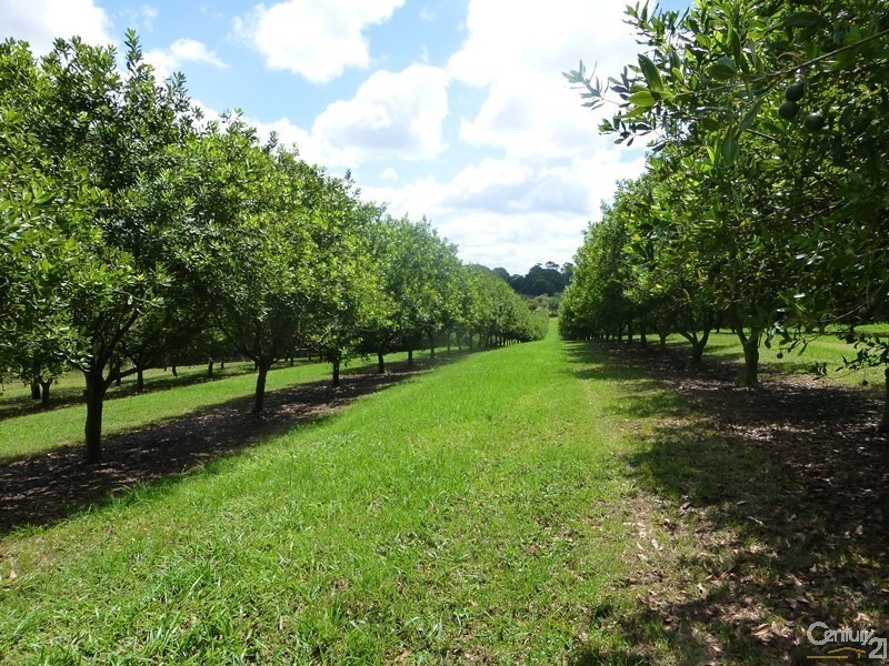 Alstonville NSW 2477